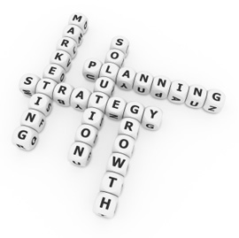 Government Marketing Planning and Strategies
